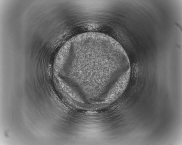 X0000102280650200808151929