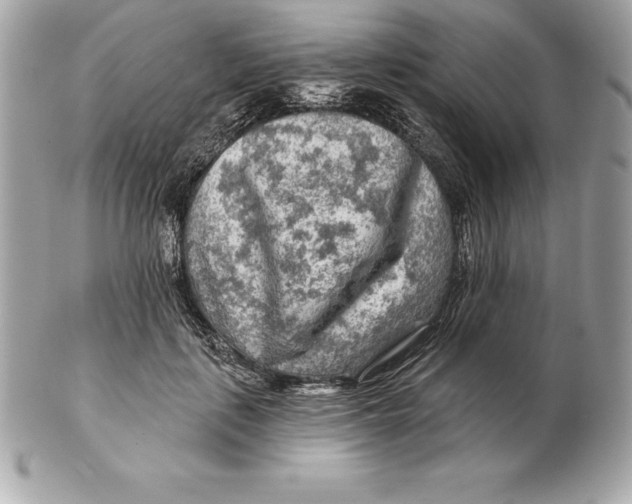 X0000102280651200808151929