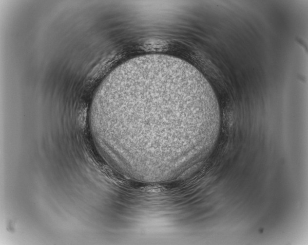 X0000102280652200808151929