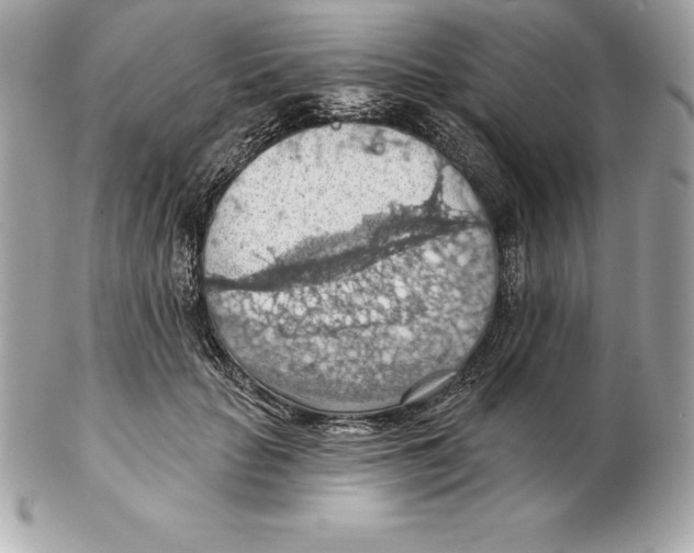 X0000102280653200808151929