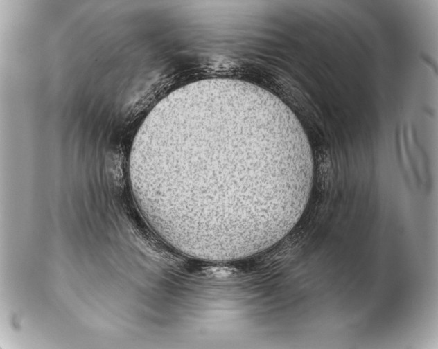 X0000102280654200808151929