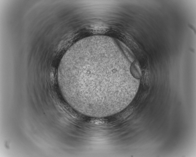 X0000102280655200808151929