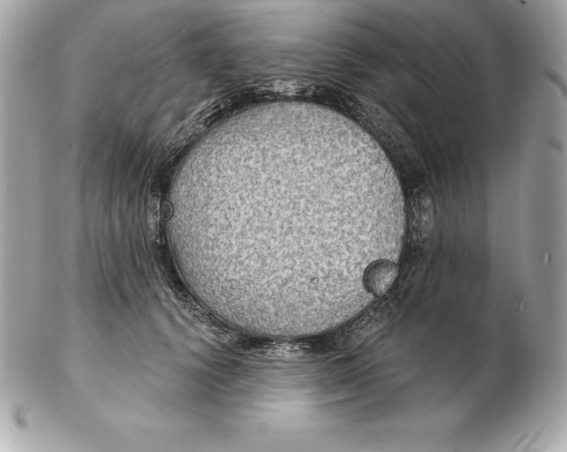 X0000102280656200808151929