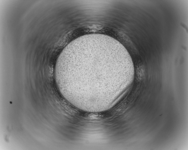 X0000102280657200808151929