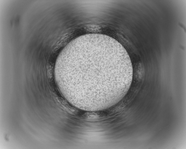 X0000102280658200808151929