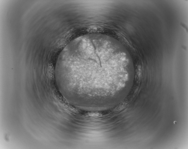 X0000102280659200808151929