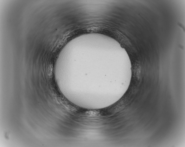 X0000102280660200808151929