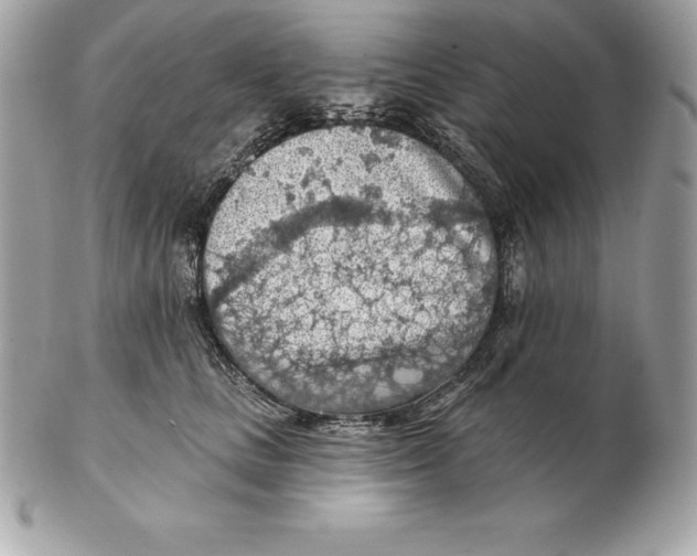 X0000102280661200808151929