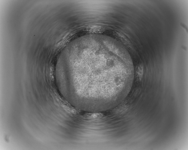 X0000102280663200808151929