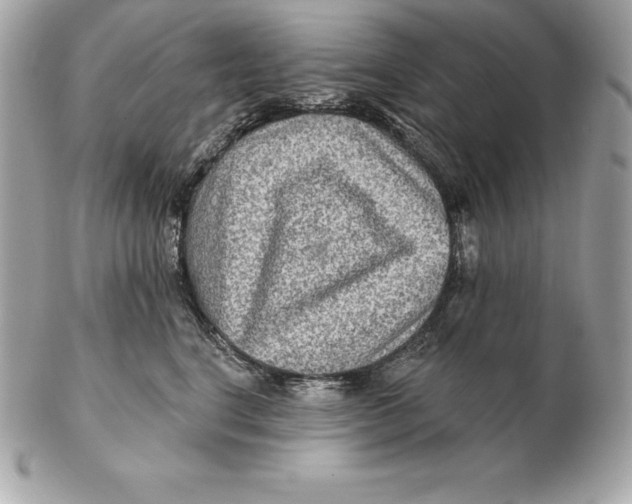 X0000102280664200808151929