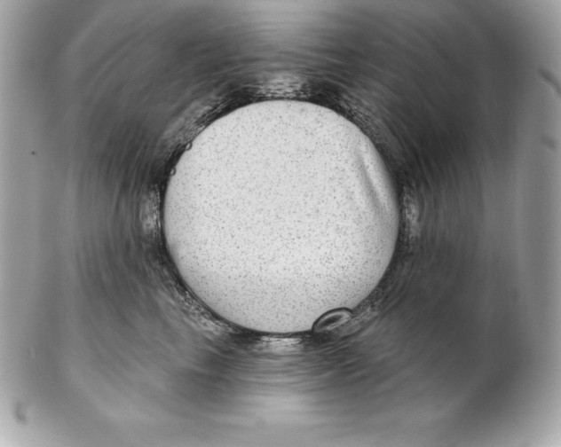 X0000102280665200808151929