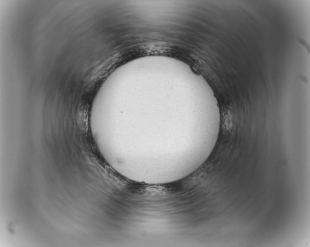 X0000102280666200808151929