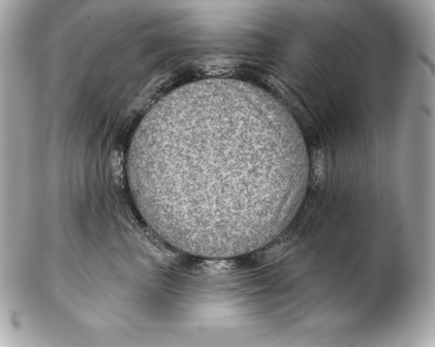 X0000102280667200808151929