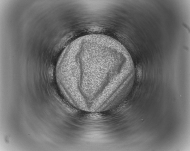 X0000102280668200808151929