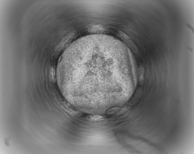 X0000102280669200808151929