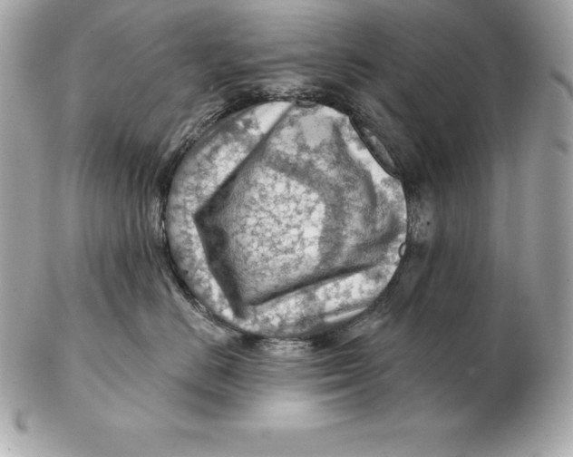 X0000102280670200808151929