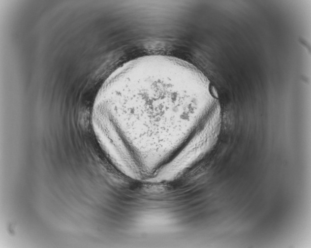 X0000102280671200808151929