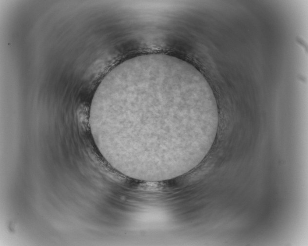 X0000102280672200808151929