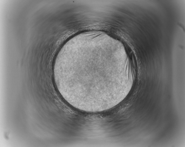 X0000102280673200808151928