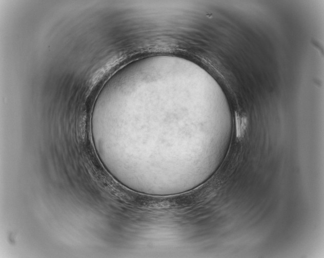 X0000102280675200808151928