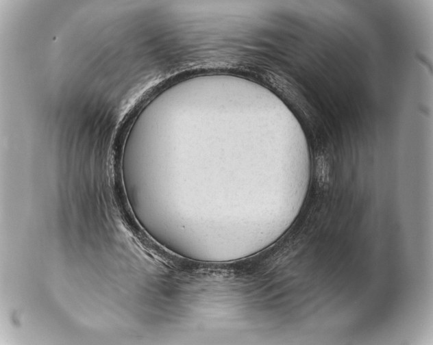 X0000102280676200808151928