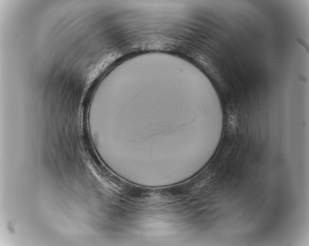 X0000102280678200808151928