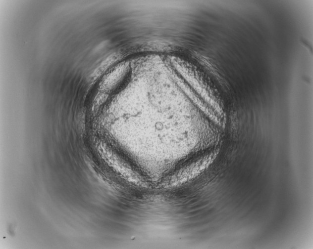 X0000102280679200808151928