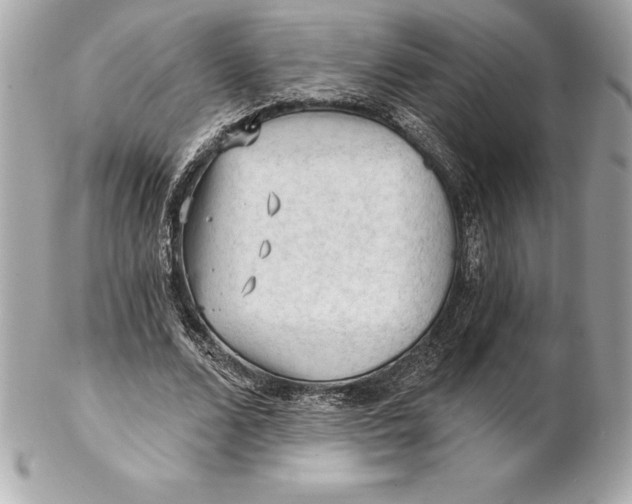 X0000102280680200808151928