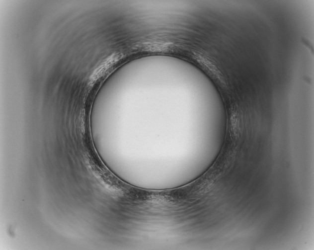 X0000102280682200808151928