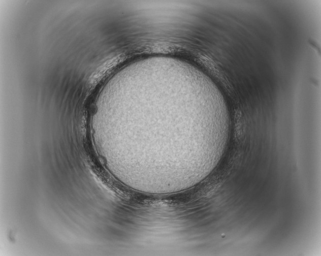 X0000102280683200808151928