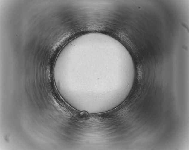 X0000102280684200808151928