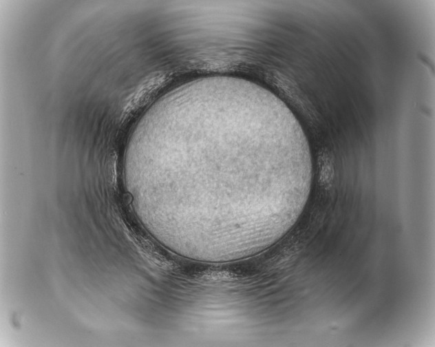 X0000102280685200808151928