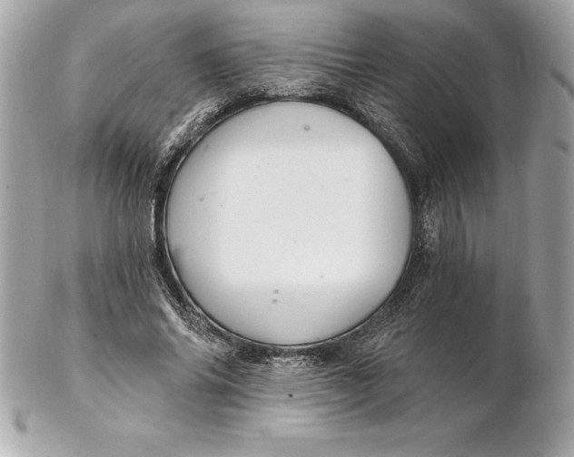 X0000102280686200808151928