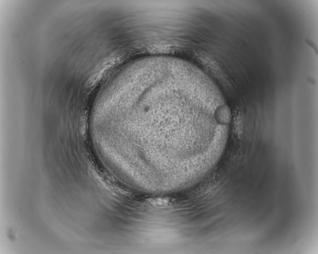 X0000102280687200808151928