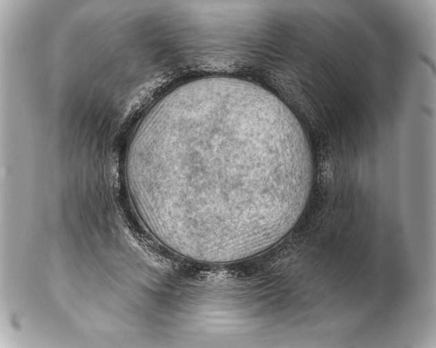 X0000102280688200808151928