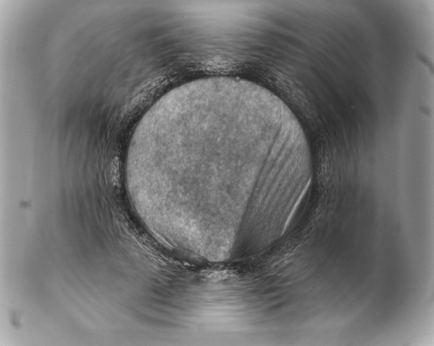 X0000102280689200808151928