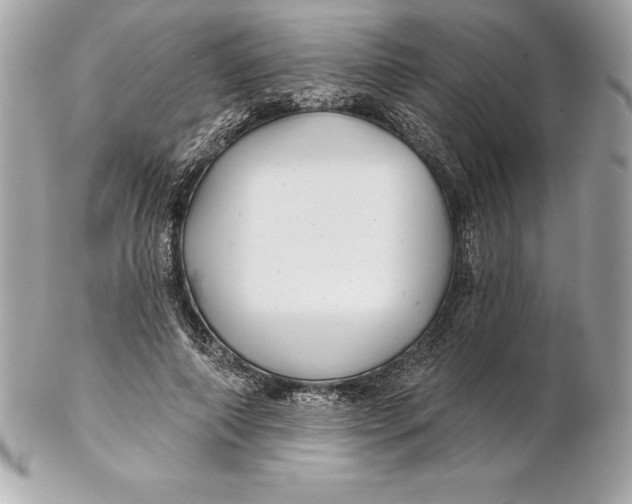 X0000102280690200808151928