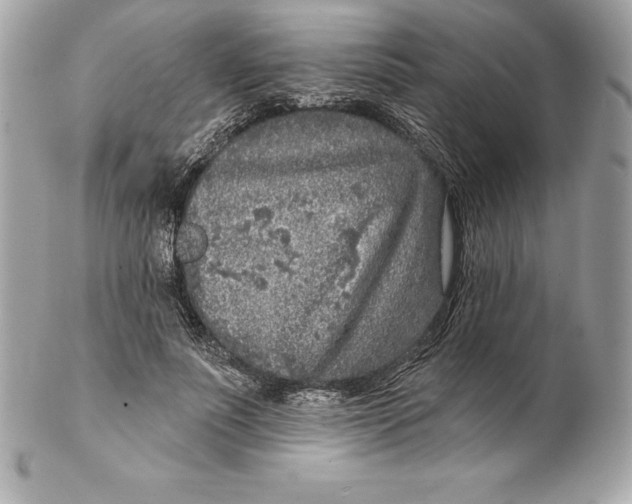 X0000102280691200808151928