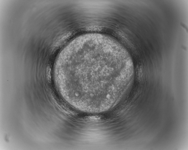 X0000102280692200808151928