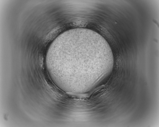 X0000102280693200808151928