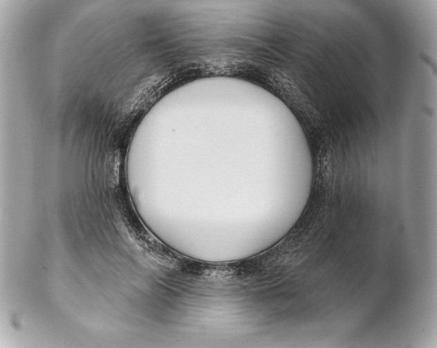 X0000102280694200808151928