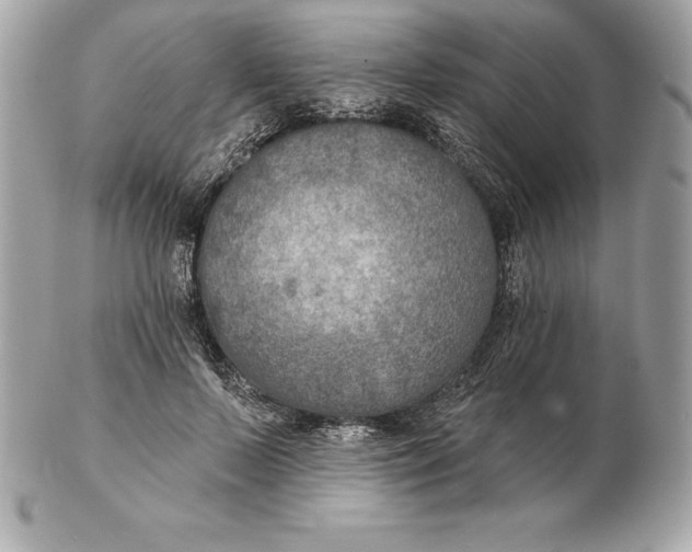 X0000102280695200808151928