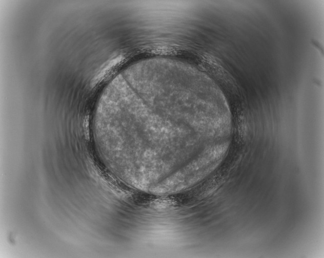 X0000102280696200808151928