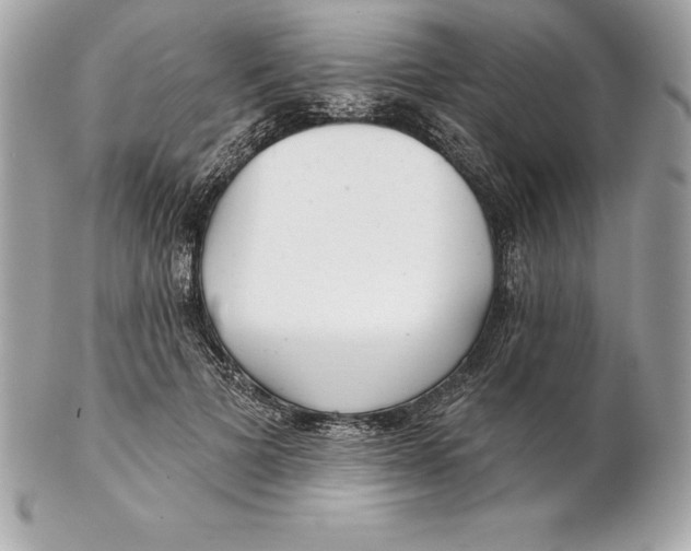 X0000102280697200808151928