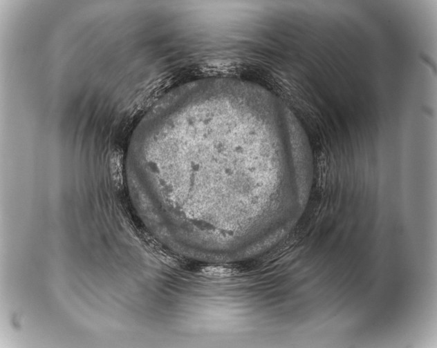 X0000102280699200808151928