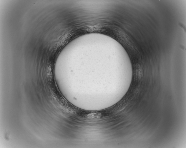 X0000102280700200808151928