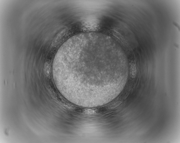 X0000102280701200808151928