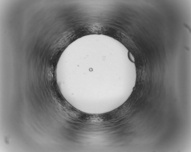 X0000102280702200808151928