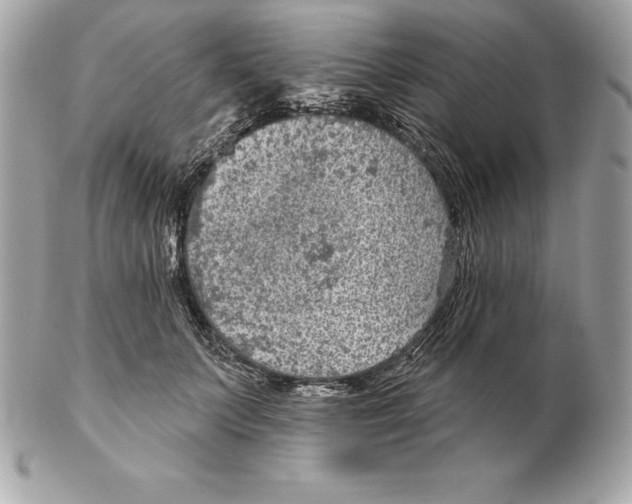 X0000102280703200808151928