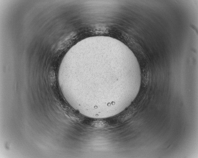 X0000102280704200808151928